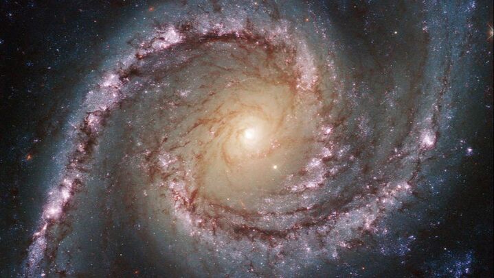 Photo de la galaxie NGC 1566